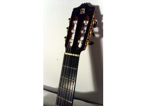 Alhambra Guitars 9P CW E2 (53784)
