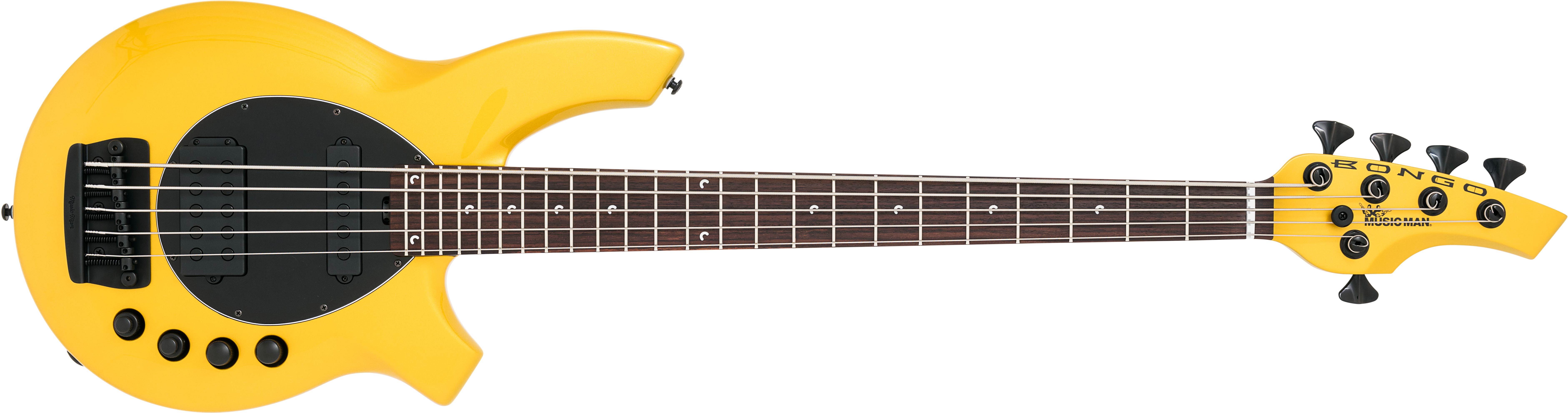 Music Man Bongo 5 : BongoGold 1