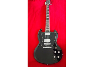 SR Guitars SRSG Origin - Ebony (83836)