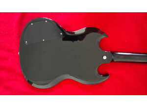 SR Guitars SRSG Origin - Ebony (52240)