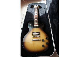 Gibson LPM 2015 (25446)