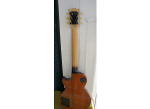 Gibson LPM 2015 (17456)