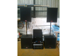 Peavey UL 15 Passive (15359)