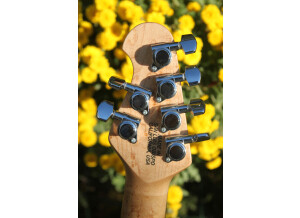 Music Man Luke (Vintage Tremolo) (25765)