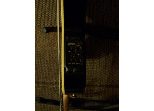 Yamaha AEX500N2 (6611)