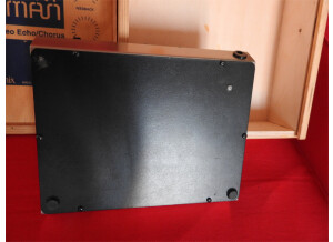 Electro-Harmonix Stereo Memory Man (10461)