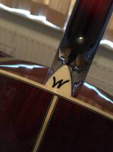 Washburn WD220SE