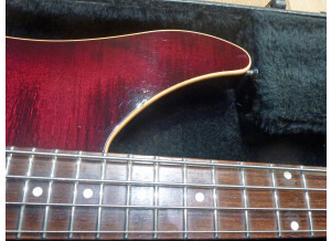 Vigier Excess Roger Glover Signature (25868)