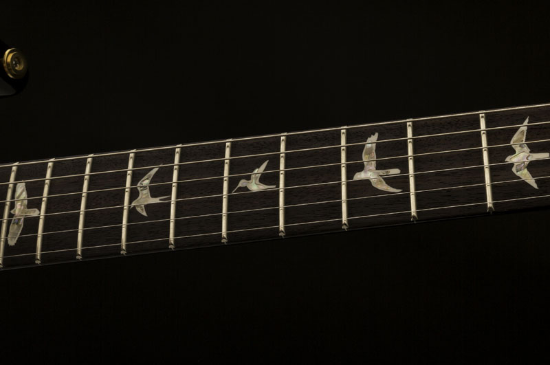 PRS 509 : 509 2017 photo5