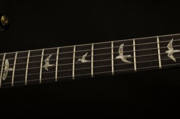 PRS 509 : 509 2017 photo5 PRS 509 : 509 2017 photo5