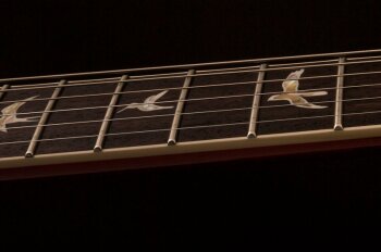 PRS Santana Retro : santana retro 2017 photo5 PRS Santana Retro : santana retro 2017 photo5