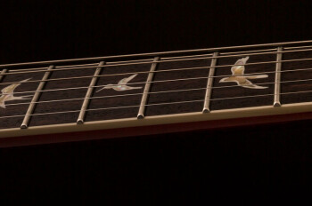 PRS Santana Retro : santana retro 2017 photo5 PRS Santana Retro : santana retro 2017 photo5