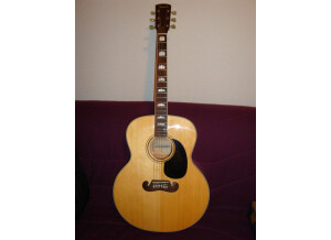 Tennessee Guitars J 200