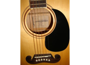 Tennessee Guitars J 200