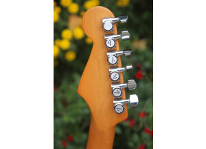 Fender Deluxe Lone Star Stratocaster [2013-2015] (17431)