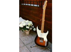 Squier 51 sunburst 1718015