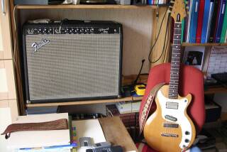 Fender Vibroverb (Blackface)