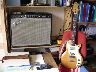 Fender Vibroverb (Blackface)