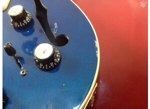 Gibson BluesHawk (68879)