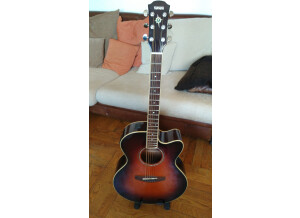 Yamaha CPX500 (37490)