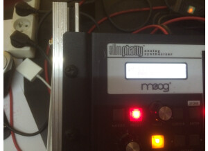 Moog Music SlimPhatty (90143)