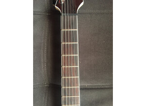 Ibanez RGIR20FE (41746)