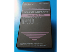 Roland SN U110 05 Orchestral Strings.256