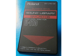 Roland SN U110 06 Orchestral Winds.256