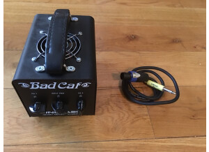 Bad Cat Unleash (39443)