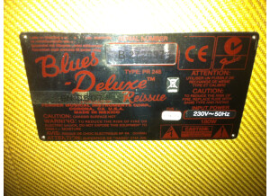 Fender Blues Deluxe Reissue (48761)