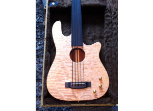 Carvin AC 50 (68926)