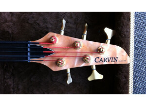 Carvin AC 50 (23187)