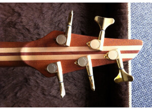 Carvin AC 50 (40926)