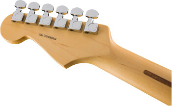 Fender American Professional Stratocaster : FMIC+0113010776 4.JPG