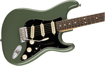 Fender American Professional Stratocaster : FMIC+0113010776 2.JPG