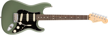 Fender American Professional Stratocaster : FMIC+0113010776.JPG