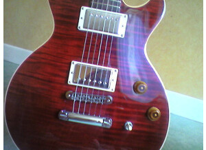 Gibson Les Paul Double Cut DC Pro (91086)