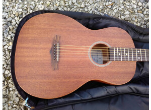 Tanglewood TW133 (48858)