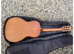 Tanglewood TW133 (17610)