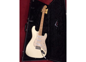 Fender Robin Trower Signature Stratocaster (673)