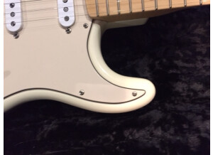Fender Robin Trower Signature Stratocaster (25343)
