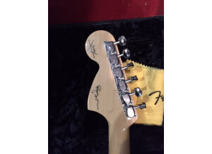 Fender Robin Trower Signature Stratocaster (13605)