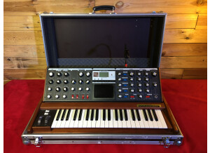 Moog Music Minimoog Voyager Signature Edition (61528)