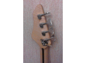 Vigier13