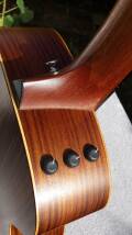 Taylor GS Mini-e RW