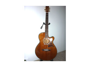 Tanglewood TW47 E (87713)