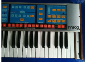Moog Music The Source (65105)