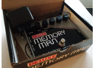 Electro-Harmonix Deluxe Memory Man XO (30005)