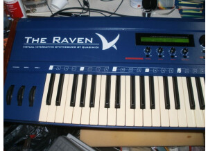 Quasimidi Raven Max (31449)