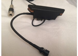 UNADJUSTEDNONRAW thumb 5335